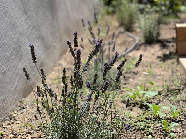 Puyvert Une Nuit En Luberon מראה חיצוני תמונה