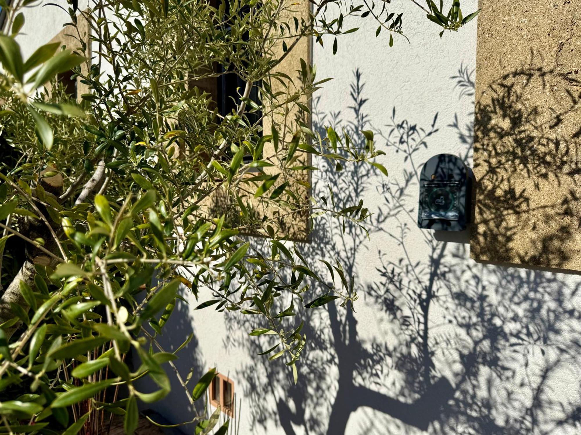 Puyvert Une Nuit En Luberon מראה חיצוני תמונה