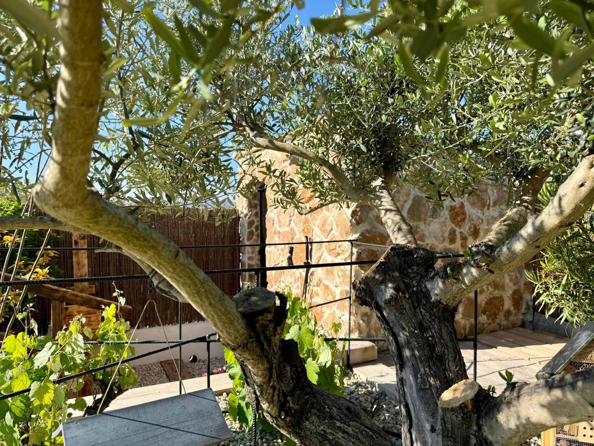 Puyvert Une Nuit En Luberon מראה חיצוני תמונה